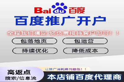 百度竞价广告的成功之路：企业运营案例集